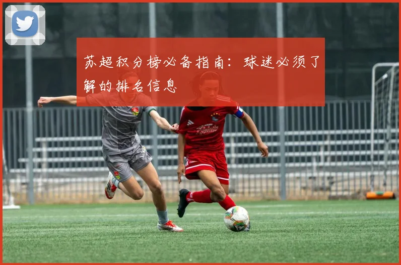 苏超积分榜必备指南：球迷必须了解的排名信息