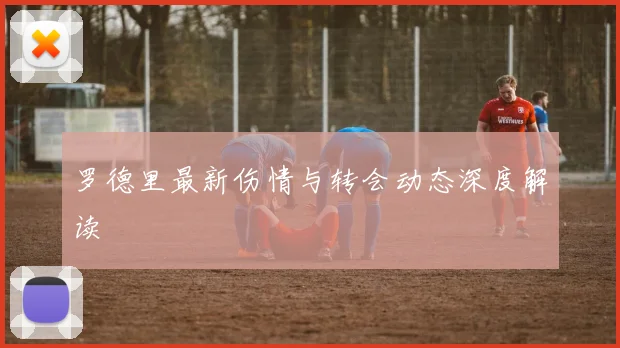 罗德里最新伤情与转会动态深度解读