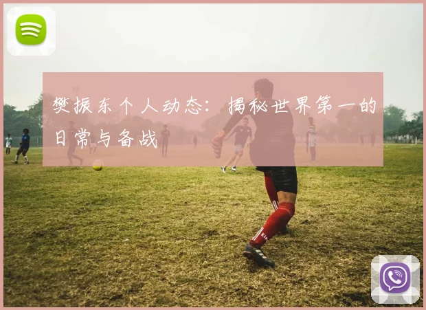 樊振东个人动态：揭秘世界第一的日常与备战