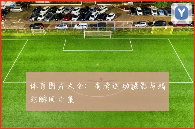 体育图片大全：高清运动摄影与精彩瞬间合集