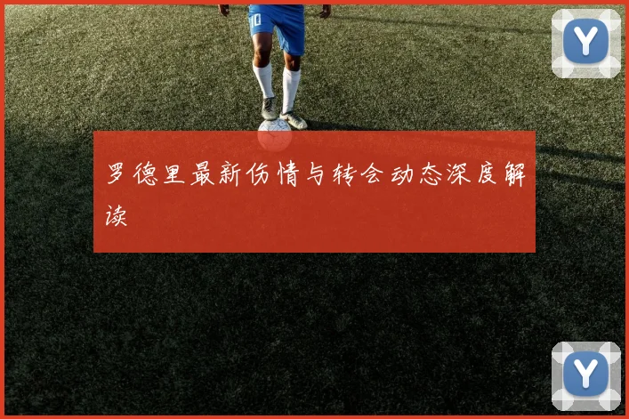 罗德里最新伤情与转会动态深度解读
