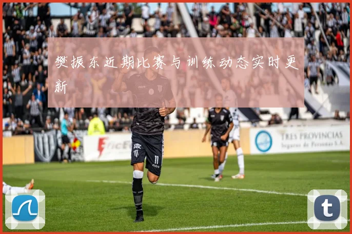 樊振东近期比赛与训练动态实时更新