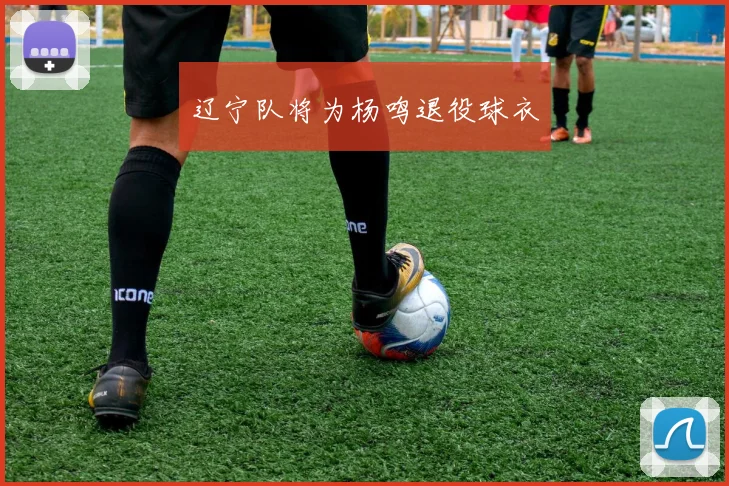 辽宁队将为杨鸣退役球衣