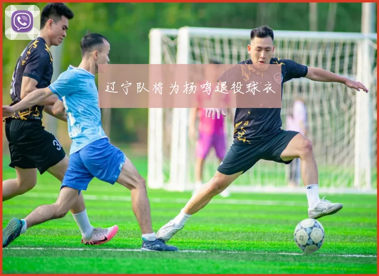 辽宁队将为杨鸣退役球衣